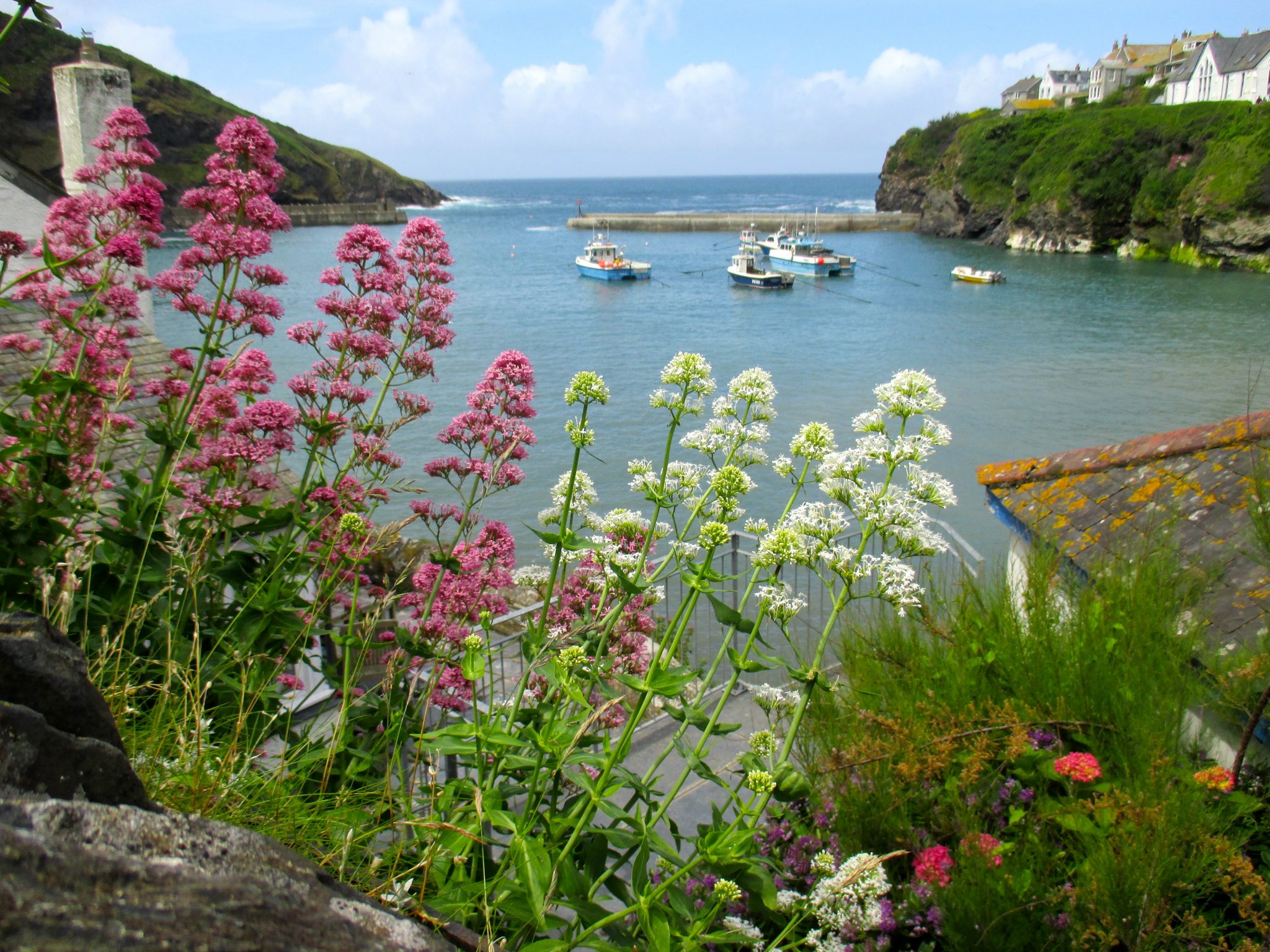Port Issac Port Issac