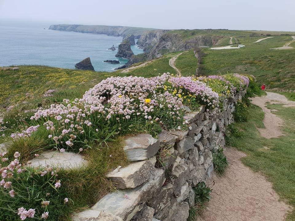 Cornish-Hedge